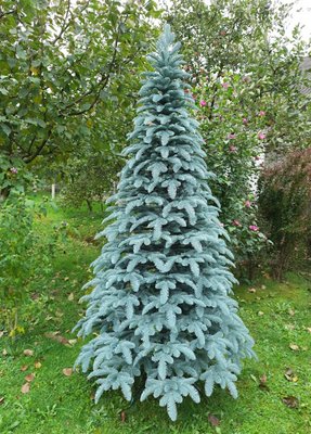 Новогодняя литая елка Канадская голубая пышная 150 см